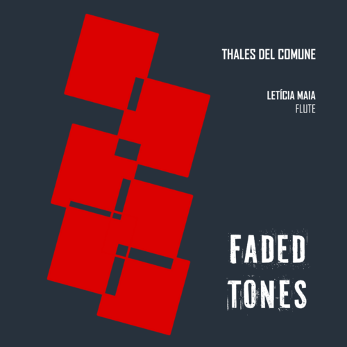 faded tones_capa faded tones_capa